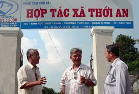 Những tồn tại, vướng mắc của quá trình thực thi Cwin50 tỷ lệ cược cao về chuyển đổi hợp tác xã sang loại hình Cwincom hiện đang mở
