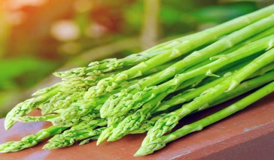 Măng tây Việt Nam có thể được xuất sang Úc ngay trong tháng 3
