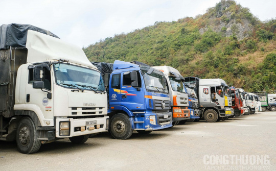 Cwin com sòng bạc trực tuyến khả quan, hơn 400 xe nông sản, trái cây được thông quan