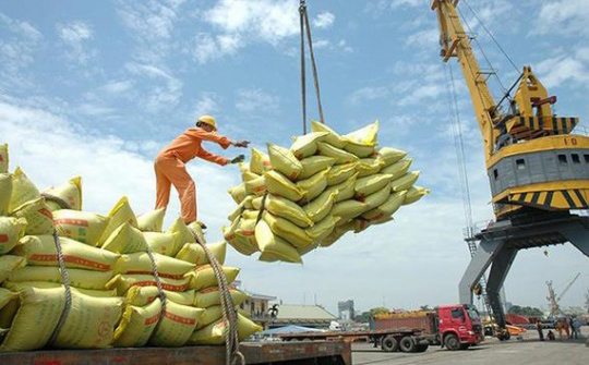 Hạn ngạch Cwin Đăng Ký + 1888k 400 ngàn tấn gạo trong tháng 4 năm 2020