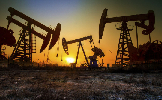 Giá dầu thô WTI tiếp tục dưới mức 20 USD/thùng, nhu cầu sử dụng dầu toàn cầu năm 2020 giảm mạnh