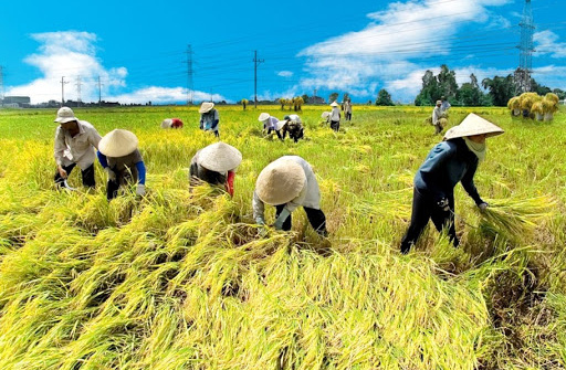Lần đầu tiên công bố Sách trắng hợp tác xã Việt Nam 2020
