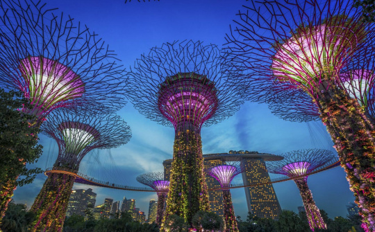 Điều gì khiến khu vườn thực vật "Gardens by the Bay" thu hút khách du lịch đến vậy?