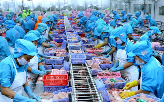 Sau 30/6, Cwincom hiện đang mở không có mã số REX không được EU ưu đãi thuế