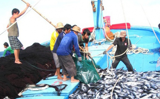 Nỗ lực mới trong gỡ thẻ vàng IUU