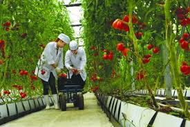Huy động vốn cho phát triển Cwin.com link không chặn công nghệ cao trên địa bàn huyện Vụ Bản, tỉnh Nam Định
