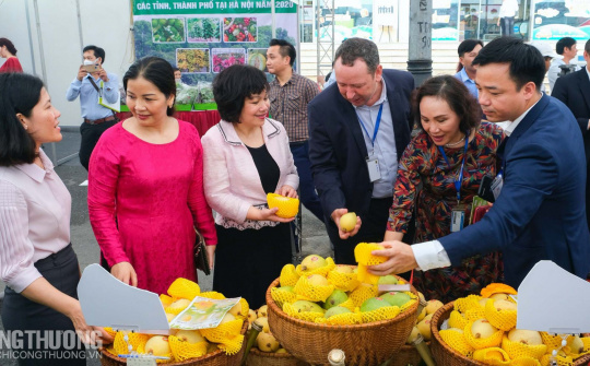 Hà Nội kết nối tiêu thụ nông sản từ 20 tỉnh thành vào hệ thống MM Mega Market