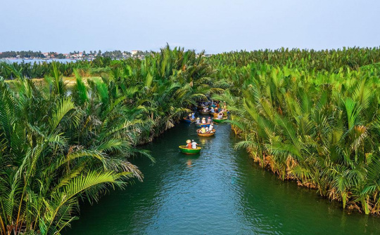 Rừng dừa Bảy Mẫu “Miền Tây trong lòng phố Hội”