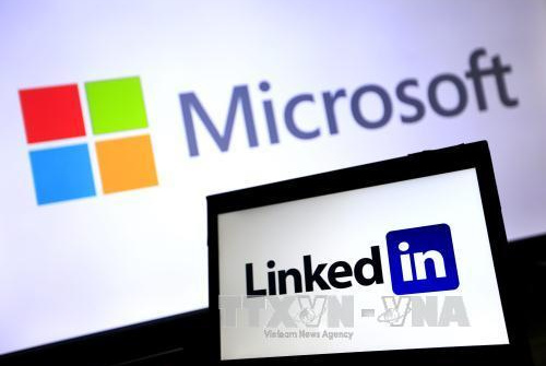 Microsoft tạm đóng hệ thống bán lẻ, chuyển sang kinh doanh trực tuyến