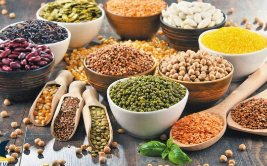 FAO: Sản lượng ngũ cốc toàn cầu sẵn sàng đạt kỷ lục mới
