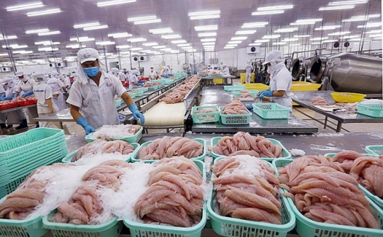 Thủy sản xúc tiến tiêu thụ tại thị trường nội địa