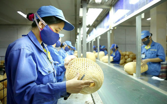 EC đồng ý gia hạn đăng ký mã số REX đến hết 2020