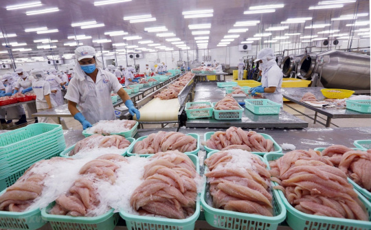 Quy tắc xuất xứ và chuyển đổi cơ chế GSP trong EVFTA