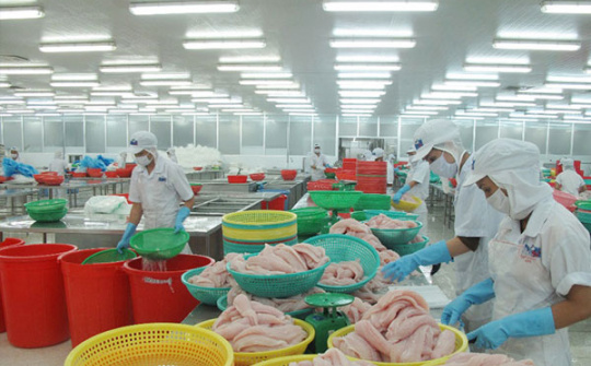 Cơ chế hạn ngạch thuế quan đối với tất cả các mặt hàng trừ gạo trong EVFTA
