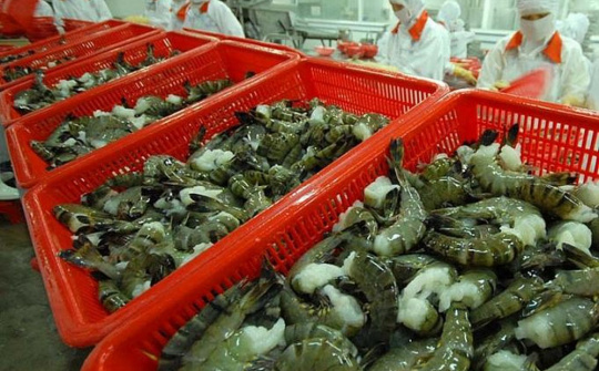 Cwin com sòng bạc trực tuyến tôm sang Mỹ dự kiến tăng 20% năm 2020