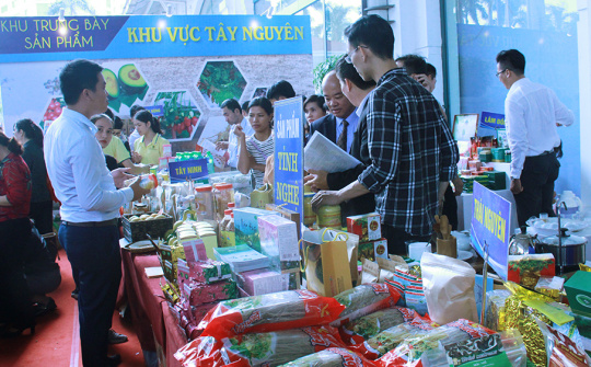 Hà Nội, TP. Hồ Chí Minh dẫn đầu cả nước về kết nối cung cầu hàng Việt