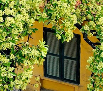 Thời tiết 22-9: Bắc bộ tiết thu mát mẻ, chuẩn bị đón đợt không khí lạnh yếu