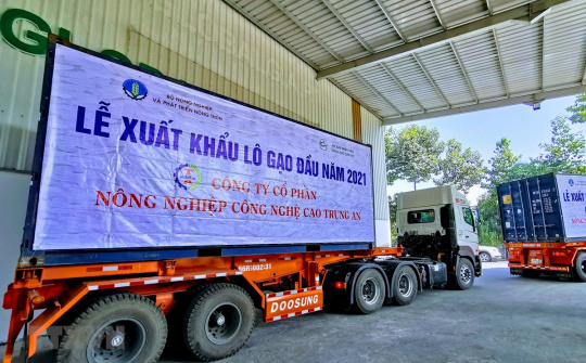 Lô gạo thơm Cwin Đăng Ký + 1888k đầu năm 2021 đạt giá 750 USD/tấn