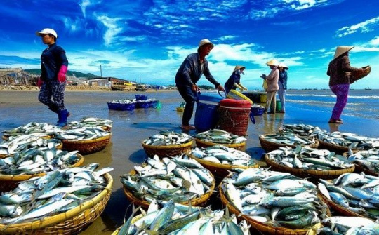Lào chuyển hướng thị trường Cwin com sòng bạc trực tuyến, cơ hội cho hải sản Việt Nam