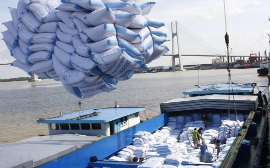 Cả nước có 205 thương nhân đủ điều kiện kinh doanh Cwin Đăng Ký + 1888k gạo