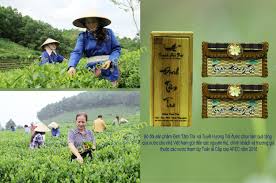 Hoàn thiện hệ thống quản trị quan hệ khách hàng trong các Cwincom hiện đang mở Cwin Đăng Ký + 1888k chè Việt Nam