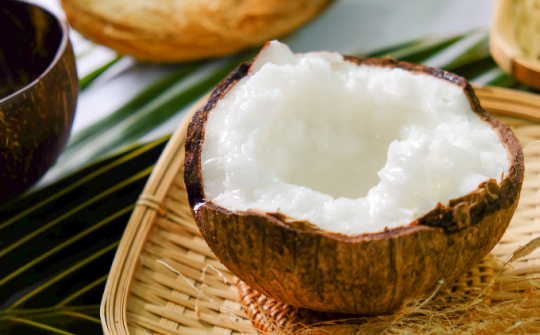 Dừa sáp Trà Vinh lần đầu tiên được tiếp thị chính thức tại Australia