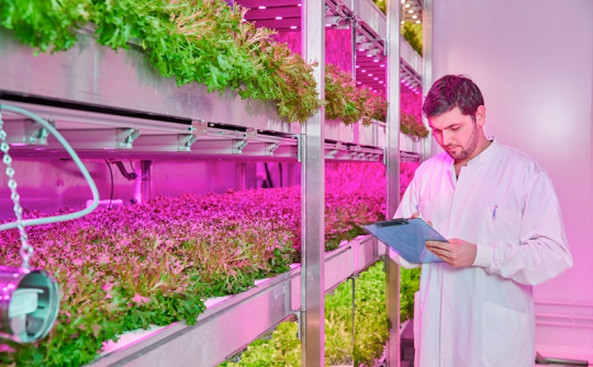 Signify Việt Nam và những giải pháp chiếu sáng công nghệ cao