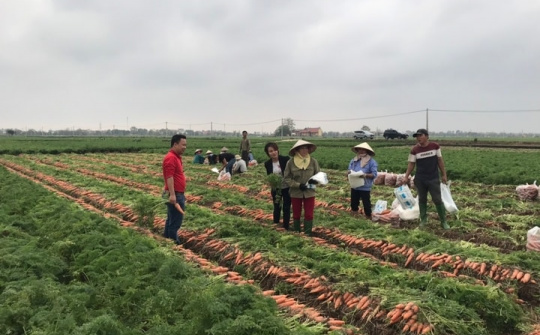 Làn gió mới trong cộng đồng Cwincom hiện đang mở Thủ đô