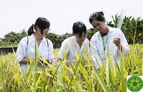 Giải pháp phát triển nguồn nhân lực ngành kinh doanh Cwin.com link không chặn