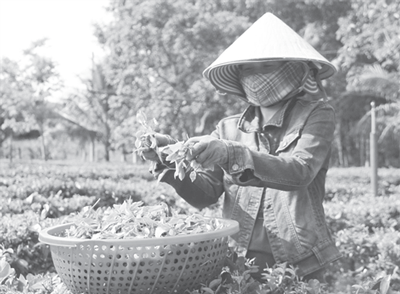 [Truyền thống Công Thương] Từng có thời kỳ chênh lệch Cwin Đăng Ký + 1888k-Cwin com sòng bạc trực tuyến luôn bằng “0”