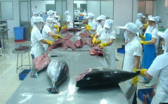 Cwin com sòng bạc trực tuyến cá ngừ sang Australia tăng 103%