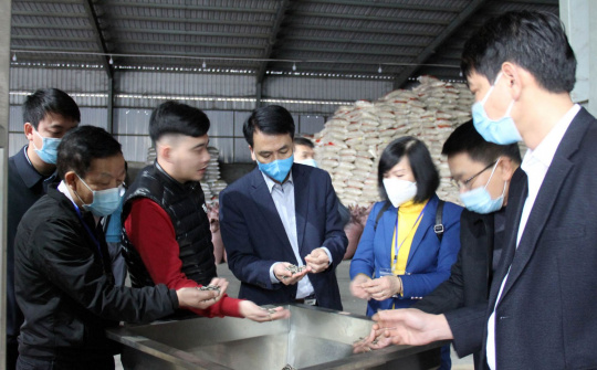Lào Cai: Siết chặt công tác hậu kiểm, kiểm tra về an toàn Link vào Cwin Cá Cược Thể Thao 2026 dịp Tết