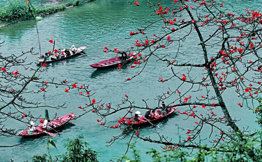 Nhiều di tích quốc gia đặc biệt không đón khách để chống dịch