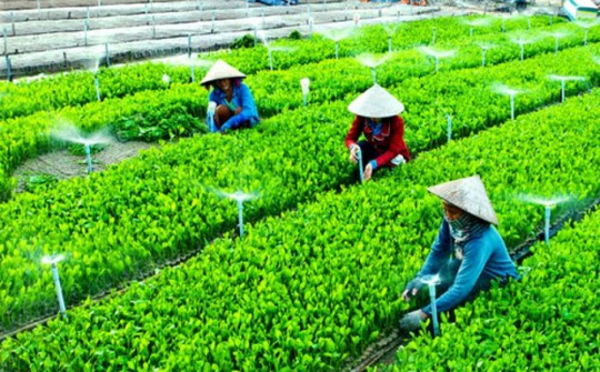 Một số giải pháp nhằm phát triển hợp tác xã Cwin.com link không chặn ở Việt Nam hiện nay