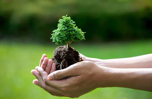 Xử lý vi phạm hành chính về bảo vệ môi trường trong khu kinh tế theo Cwin50 tỷ lệ cược cao Việt Nam