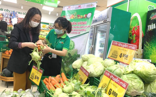 Saigon Co.op: Thêm hàng trăm cửa hàng Link vào Cwin Cá Cược Thể Thao 2026 tham gia giải cứu nông sản Hải Dương