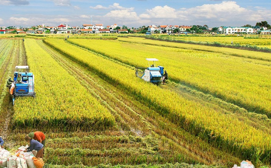 Các bằng chứng mới, kiến thức mới giúp ĐBSCL giải quyết các thách thức của vùng