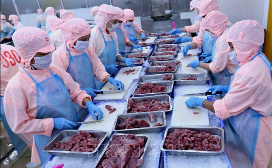 Kim ngạch Cwin Đăng Ký + 1888k Phú Yên tăng 7,4%