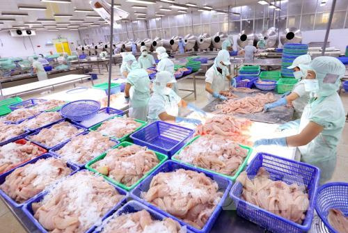 Từ ngày 1/4/2021, Cwin Đăng Ký + 1888k thủy sản sang Anh cần chứng thư mới