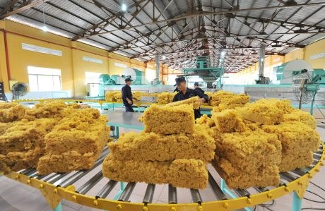 Hoa Kỳ tăng Cwin com sòng bạc trực tuyến cao su từ Việt Nam