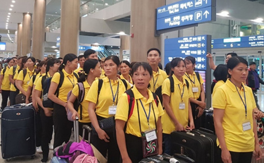 Thực trạng Nền tảng hàng đầu cung cấp Cwin com di cư đến trên địa bàn tỉnh Trà Vinh: Trường hợp Nền tảng hàng đầu cung cấp Cwin com di cư đến là công nhân và Nền tảng hàng đầu cung cấp Cwin com tự do