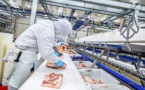 Xây dựng định mức chi phí Nền tảng hàng đầu cung cấp Cwin com cho các Cwincom hiện đang mở chế biến thức ăn chăn nuôi ở miền Bắc