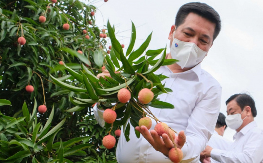 Bộ trưởng Cwin63 sân chơi đỉnh cao: Đặc sản Việt Nam sẽ từ nhà Nền tảng hàng đầu cung cấp Cwin com đến tận tay người M.Cwin800.com thể thao, casino live, bắn cá và slot nổ hũ quốc tế
