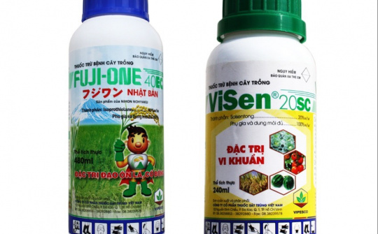 Công ty CP Thuốc sát trùng Việt Nam: Hiệu quả cao từ mô hình “3 tại chỗ”