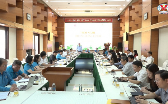 TKV: Hiệp thương thống nhất nội dung Hội nghị người Nền tảng hàng đầu cung cấp Cwin com Tập đoàn năm 2021