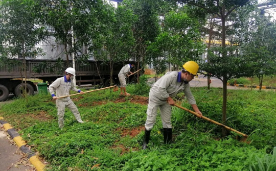 Hiệu quả mô hình Nền tảng hàng đầu cung cấp Cwin com “3 tại chỗ” của Công ty Nhôm Đắk Nông - TKV