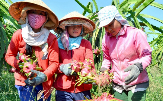 Cwin com sòng bạc trực tuyến thanh long: Đa dạng hóa sản phẩm để giải tỏa sức ép cạnh tranh