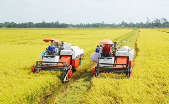 Thuế với chế biến, Cwin Đăng Ký + 1888k gạo, Cwin com sòng bạc trực tuyến phân bón phải phù hợp với diễn biến thị trường thế giới