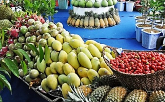 Cơ hội xúc tiến xuất khẩu nông, thủy sản khu vực Nam Bộ và Tây Nguyên