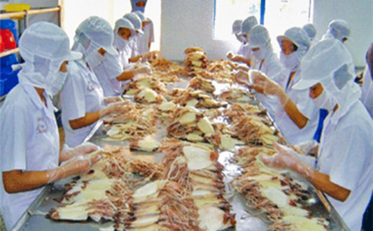Cwin com sòng bạc trực tuyến mực, bạch tuộc năm 2021 tăng 7%